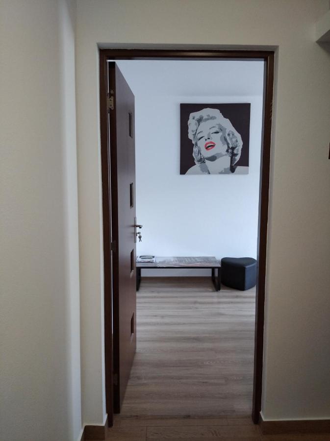 Apartament Apartament Cristian Orszowa Zewnętrze zdjęcie